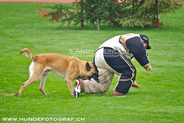 2 MB 0480 2011-10-02