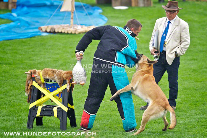 2 MB 0490 2011-10-02