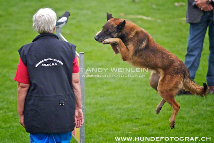 2 MB 0508 2011-10-02