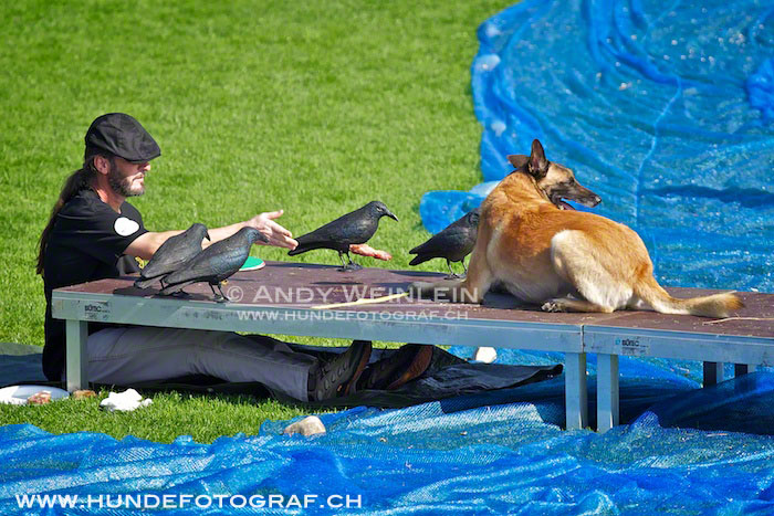 2 MB 0546 2011-10-02