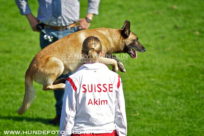 2 MB 0564 2011-10-02