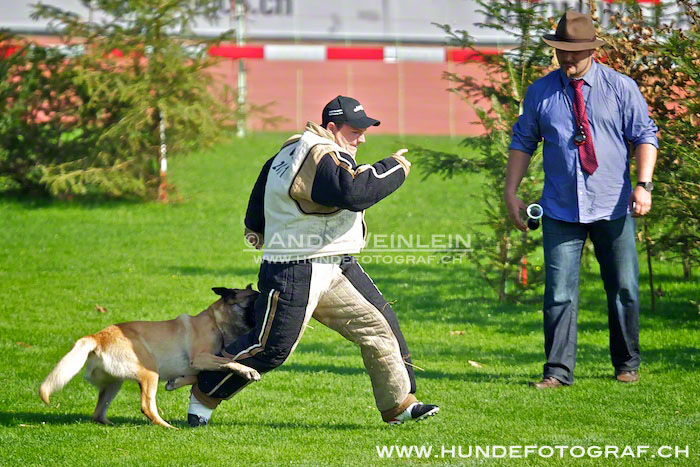 2 MB 0618 2011-10-02