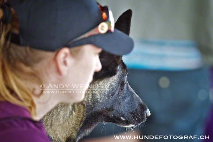 2 MB 0683 2011-10-02