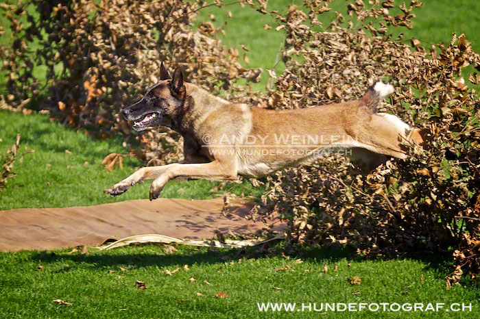 2 MB 0700 2011-10-02