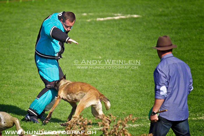 2 MB 0706 2011-10-02