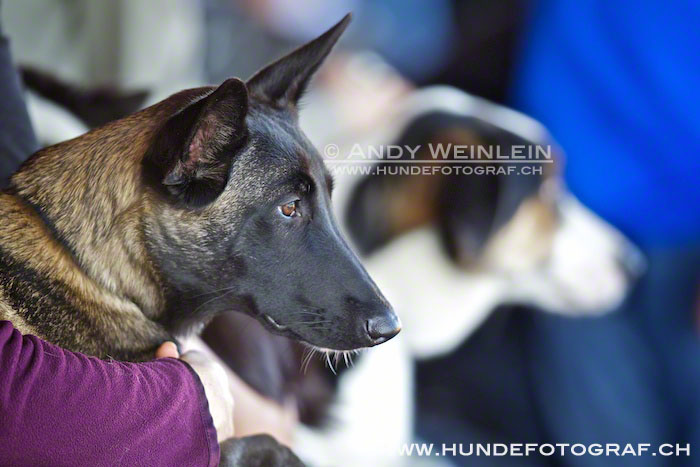 2 MB 0720 2011-10-02