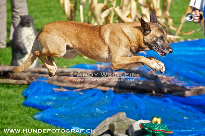 2 MB 0739 2011-10-02