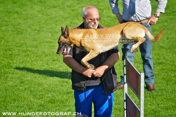 2 MB 0751 2011-10-02