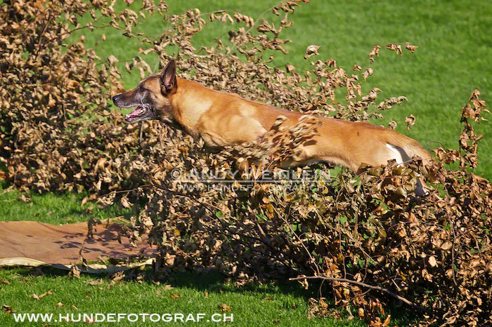 2 MB 0754 2011-10-02