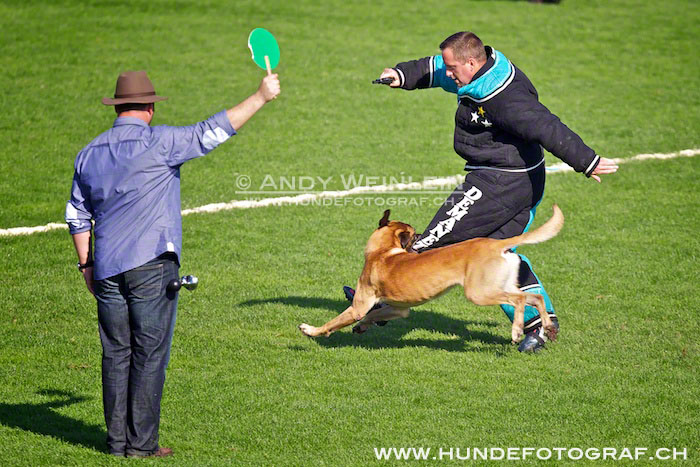 2 MB 0785 2011-10-02