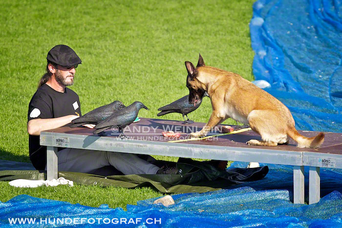 2 MB 0816 2011-10-02