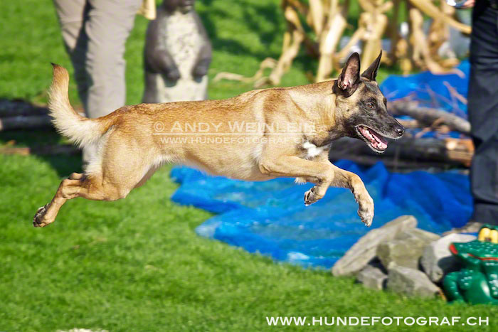 2 MB 0828 2011-10-02