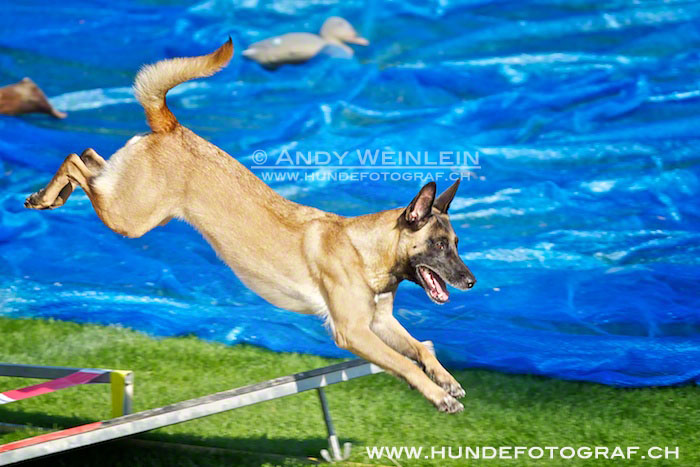 2 MB 0831 2011-10-02