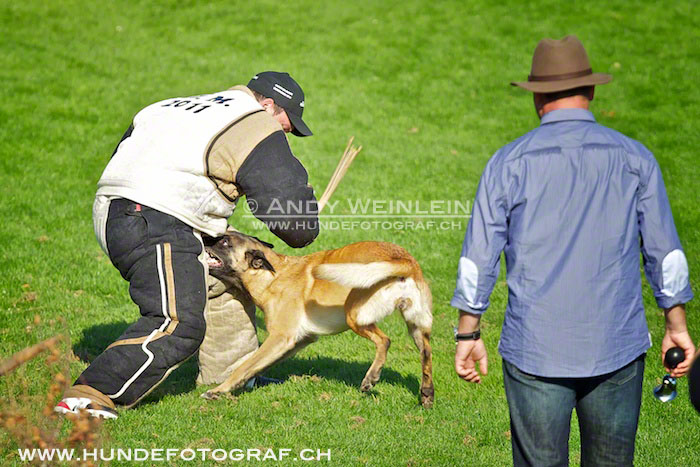 2 MB 0850 2011-10-02