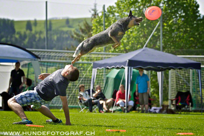 L MB 0089 2012-05-19