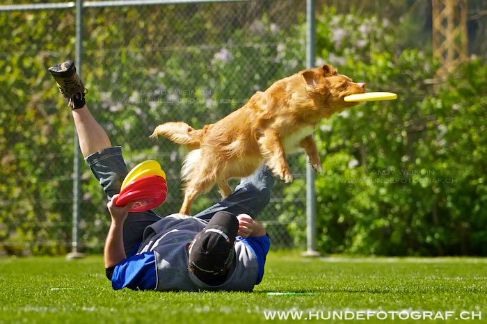 L MB 0096 2012-05-19