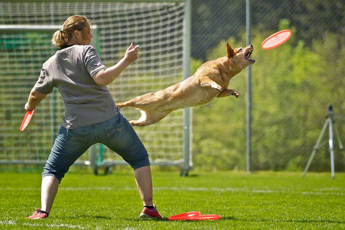 L MB 0149 2012-05-19