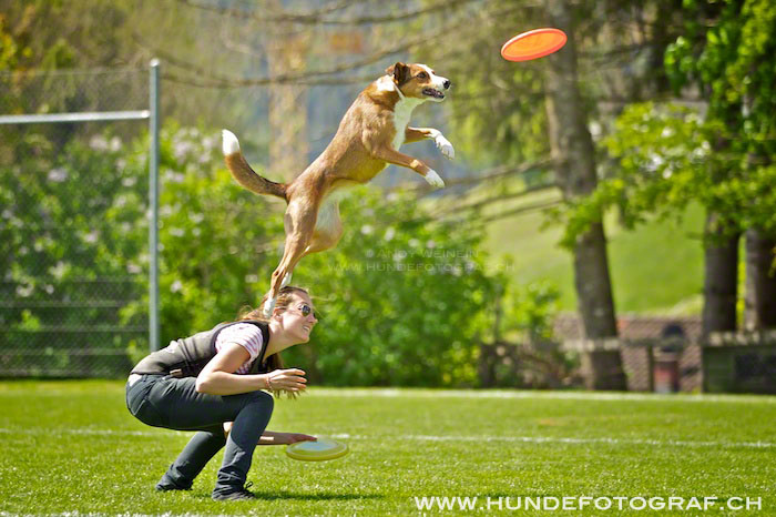 L MB 0163 2012-05-19