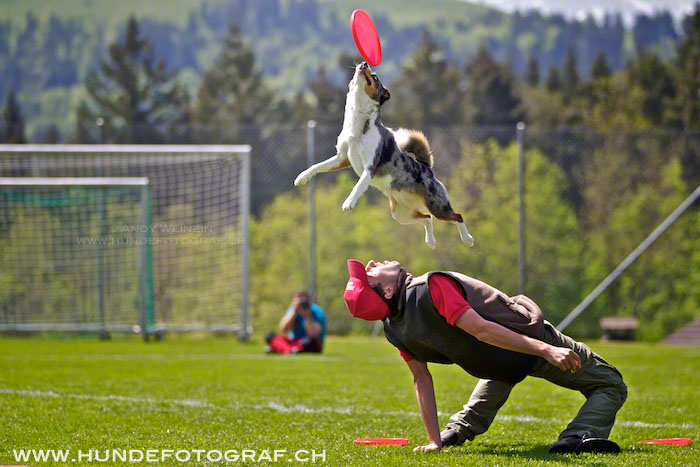 L MB 0206 2012-05-19