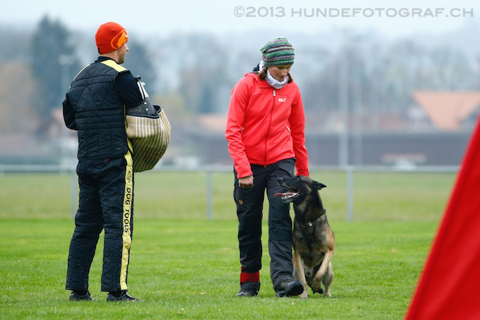 KGL0137 2013-11-16