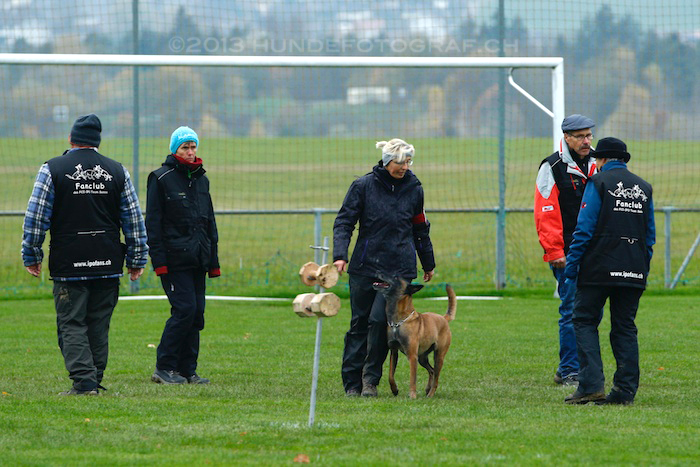 KGL0220 2013-11-16