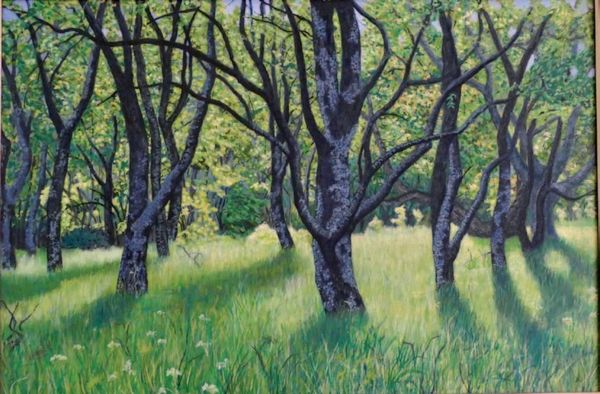 This large painting of an old plum orchard in Slovakia was commended by judge Peter Barker in one of last year’s WVAS exhibitions.