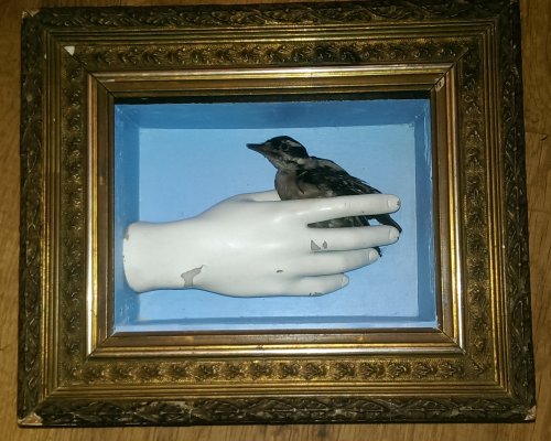 Bird In The Hand