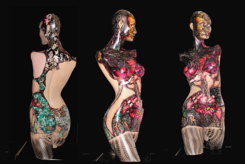 Illustrated Woman