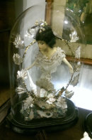 Sea Nymph