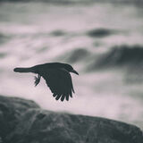 Hrafnaguõ - Archival Pigment Print