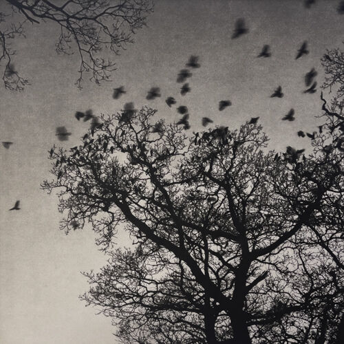 A Gathering at the Castle