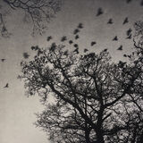 A Gathering at the Castle