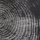 Arborial Age - Polymer Photogravure Print