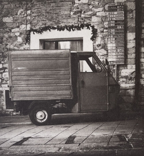 Assisi Worker Bee / Ape operaia di Assisi