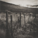Fence II - Kerry - Polymer Photogravure Print