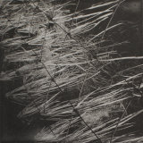 Grass, Wind & Fence - Polymer Photogravure Print