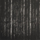 The Music of the Wood - Polymer Photogravure Print