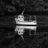 Westcove Westcove - Archival Pigment Print