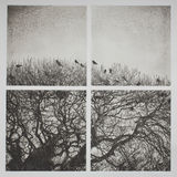 Easky Roost at Dusk - Polymer Photogravure Print