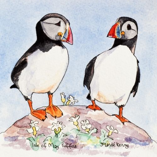 2 Isle of May Puffins ... £20
