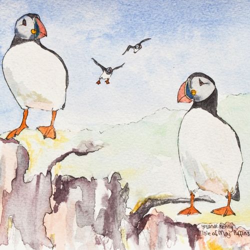 4 Isle of May puffins ... £20