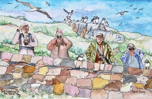 Print 'Bird Watching on The Isle of May'... £25