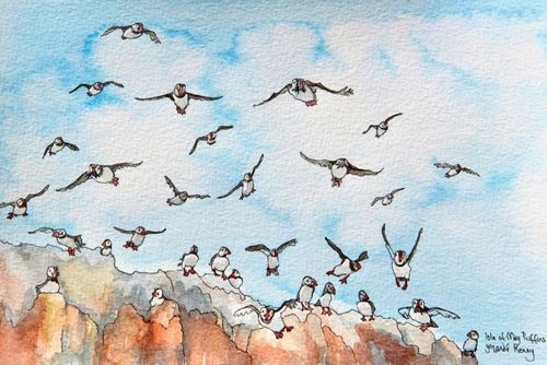 Print 'Flying Puffins on The Isle of May'... £25