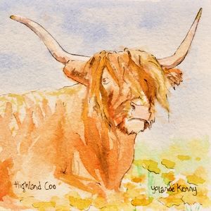 Print 'Highland Coo'... £19