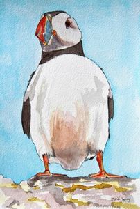 Print 'Isle of May Puffin'... £25