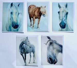 Set of 5 Large Horse Greeting Cards.. £5 Set of 5 Large Horse Greeting Cards.. on offer - £5
