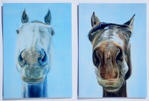 Set of 2 Large Horse Birthday Cards.. £2