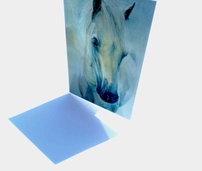 Horse Greeting cards 2