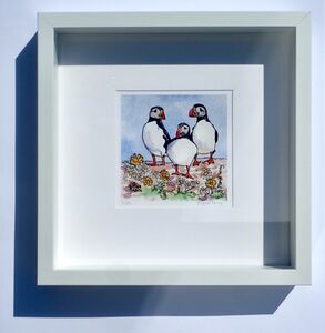 Framed Print '3 Isle of May Puffins'.. Sold