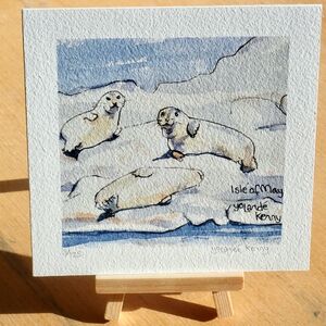 Print 'Seals on The Isle of May' with Display Easel... £20